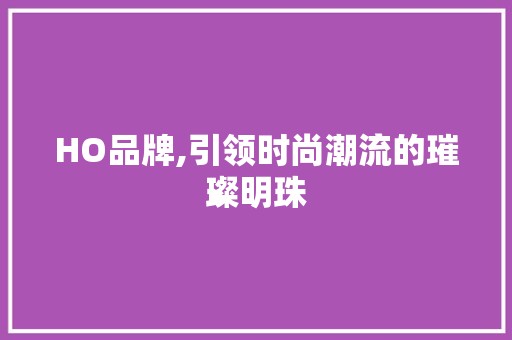 HO品牌,引领时尚潮流的璀璨明珠 商务信函