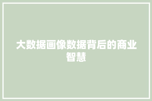 大数据画像数据背后的商业智慧