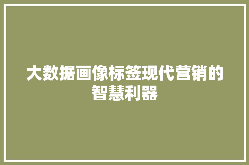 大数据画像标签现代营销的智慧利器