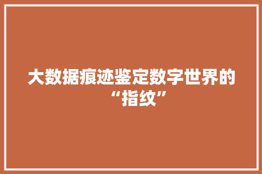 大数据痕迹鉴定数字世界的“指纹”