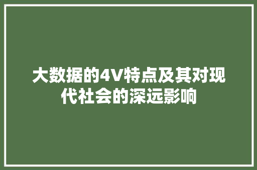 大数据的4V特点及其对现代社会的深远影响