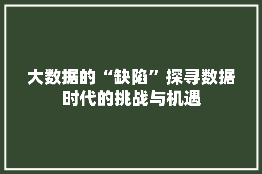 大数据的“缺陷”探寻数据时代的挑战与机遇