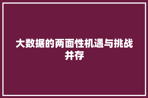 大数据的两面性机遇与挑战并存