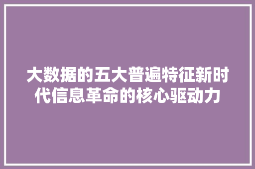 大数据的五大普遍特征新时代信息革命的核心驱动力