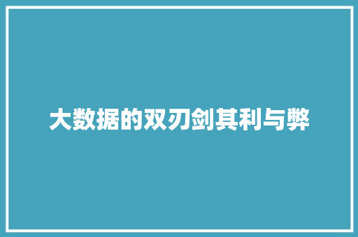 大数据的双刃剑其利与弊