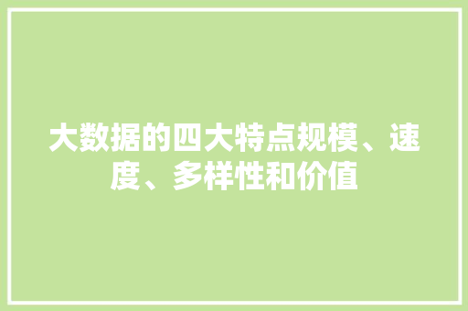 大数据的四大特点规模、速度、多样性和价值