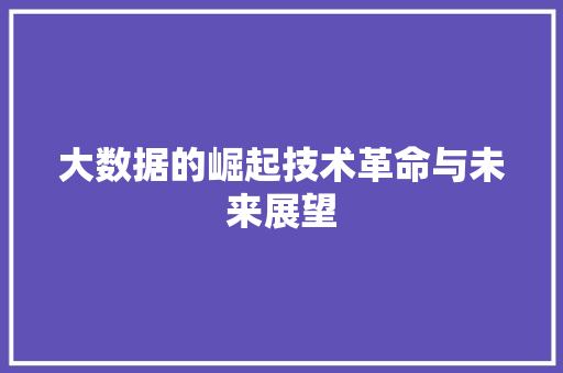 大数据的崛起技术革命与未来展望
