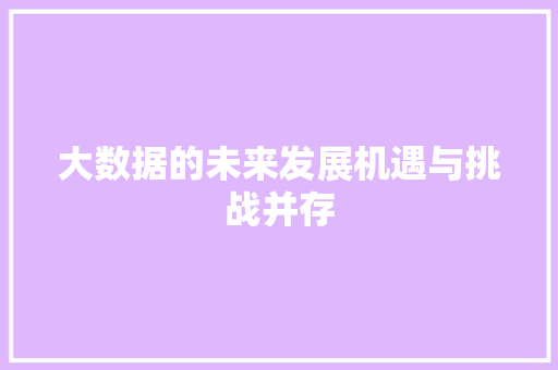 大数据的未来发展机遇与挑战并存