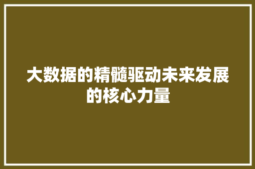 大数据的精髓驱动未来发展的核心力量