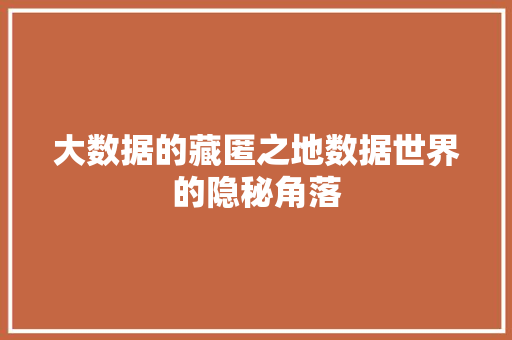 大数据的藏匿之地数据世界的隐秘角落