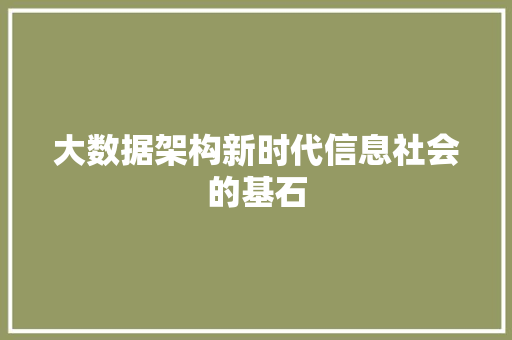 大数据架构新时代信息社会的基石