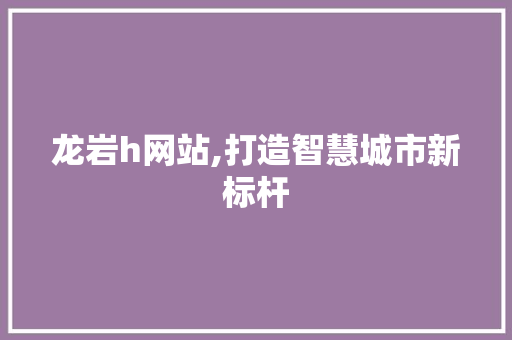 龙岩h网站,打造智慧城市新标杆 后端技术