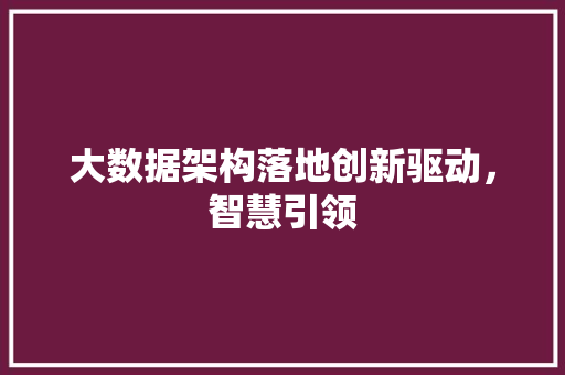 大数据架构落地创新驱动，智慧引领