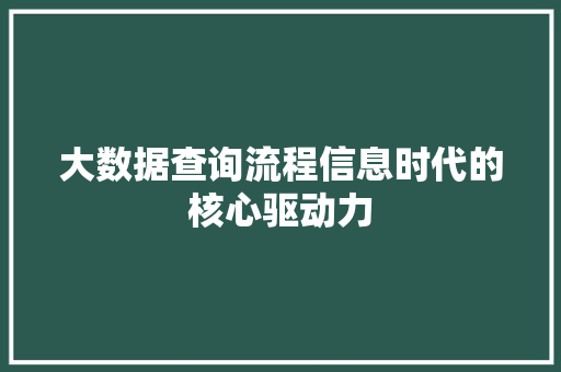 大数据查询流程信息时代的核心驱动力