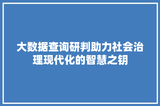 大数据查询研判助力社会治理现代化的智慧之钥