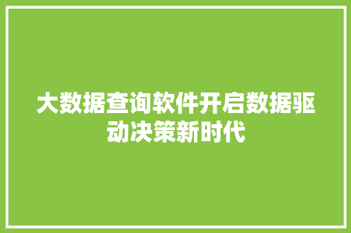 大数据查询软件开启数据驱动决策新时代