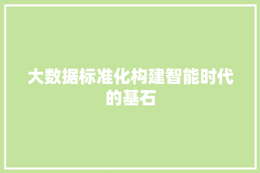 大数据标准化构建智能时代的基石