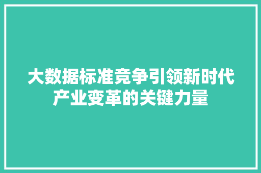 大数据标准竞争引领新时代产业变革的关键力量