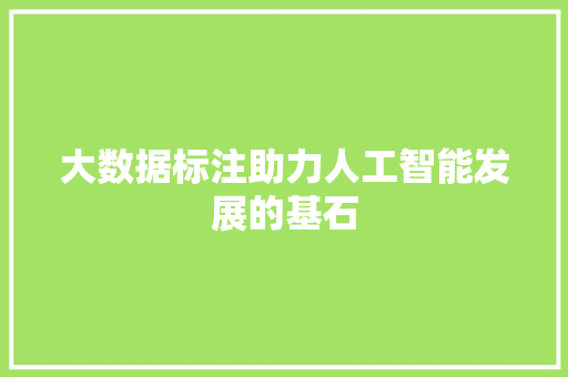 大数据标注助力人工智能发展的基石