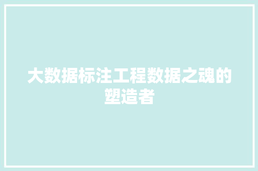 大数据标注工程数据之魂的塑造者
