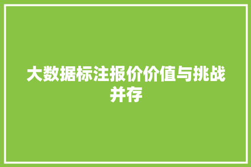 大数据标注报价价值与挑战并存