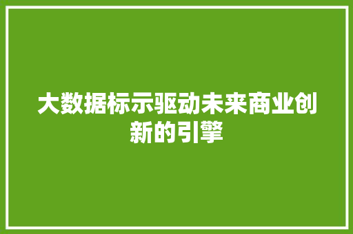 大数据标示驱动未来商业创新的引擎