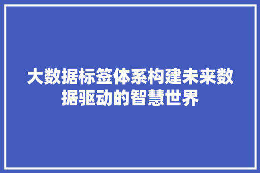 大数据标签体系构建未来数据驱动的智慧世界