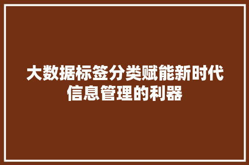 大数据标签分类赋能新时代信息管理的利器
