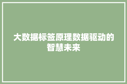 大数据标签原理数据驱动的智慧未来