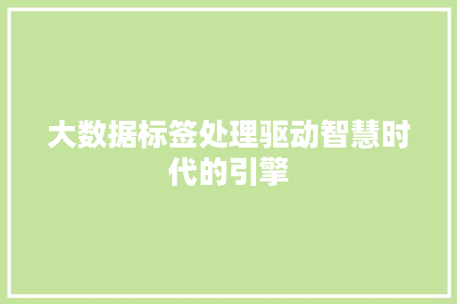 大数据标签处理驱动智慧时代的引擎
