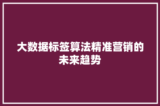大数据标签算法精准营销的未来趋势