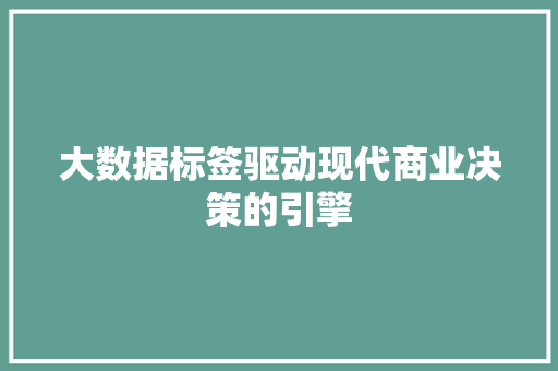 大数据标签驱动现代商业决策的引擎