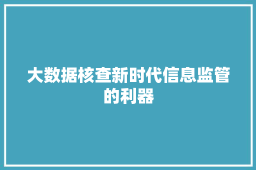 大数据核查新时代信息监管的利器