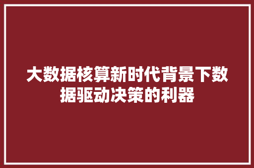 大数据核算新时代背景下数据驱动决策的利器