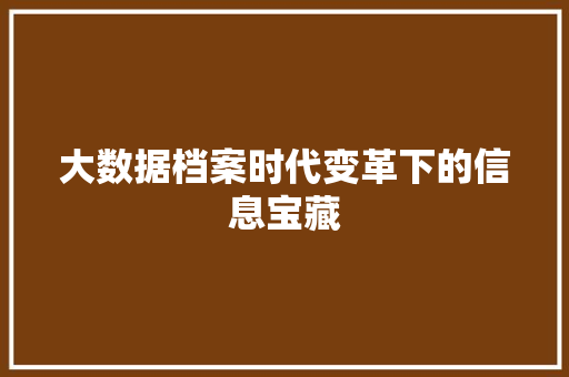 大数据档案时代变革下的信息宝藏