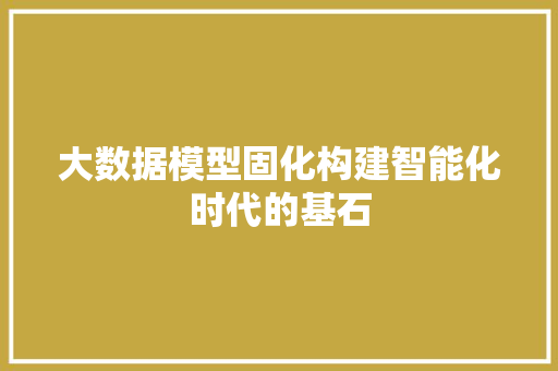 大数据模型固化构建智能化时代的基石