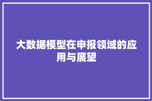 大数据模型在申报领域的应用与展望