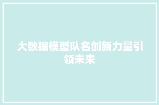 大数据模型队名创新力量引领未来