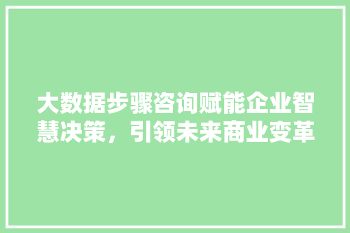 大数据步骤咨询赋能企业智慧决策，引领未来商业变革