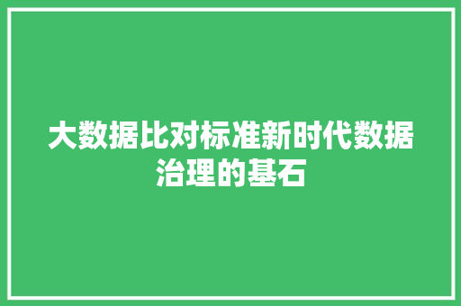 大数据比对标准新时代数据治理的基石