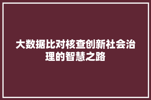 大数据比对核查创新社会治理的智慧之路