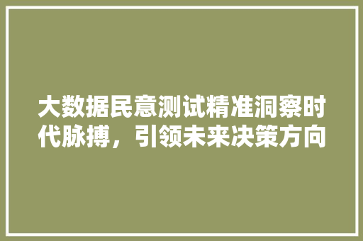 大数据民意测试精准洞察时代脉搏，引领未来决策方向