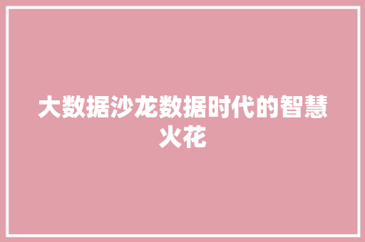 大数据沙龙数据时代的智慧火花
