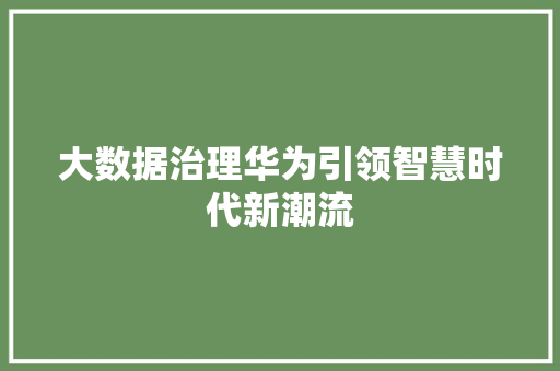 大数据治理华为引领智慧时代新潮流