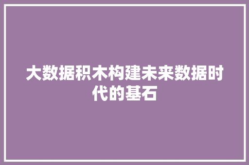 大数据积木构建未来数据时代的基石