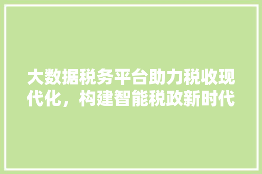 大数据税务平台助力税收现代化，构建智能税政新时代