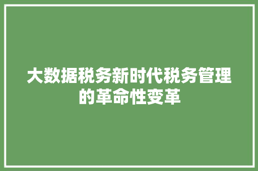 大数据税务新时代税务管理的革命性变革