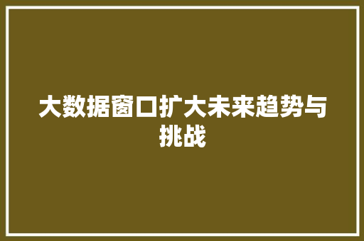 大数据窗口扩大未来趋势与挑战