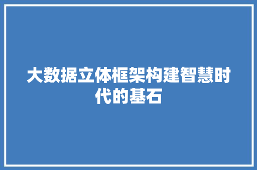 大数据立体框架构建智慧时代的基石