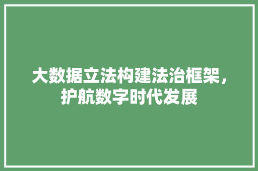 大数据立法构建法治框架，护航数字时代发展